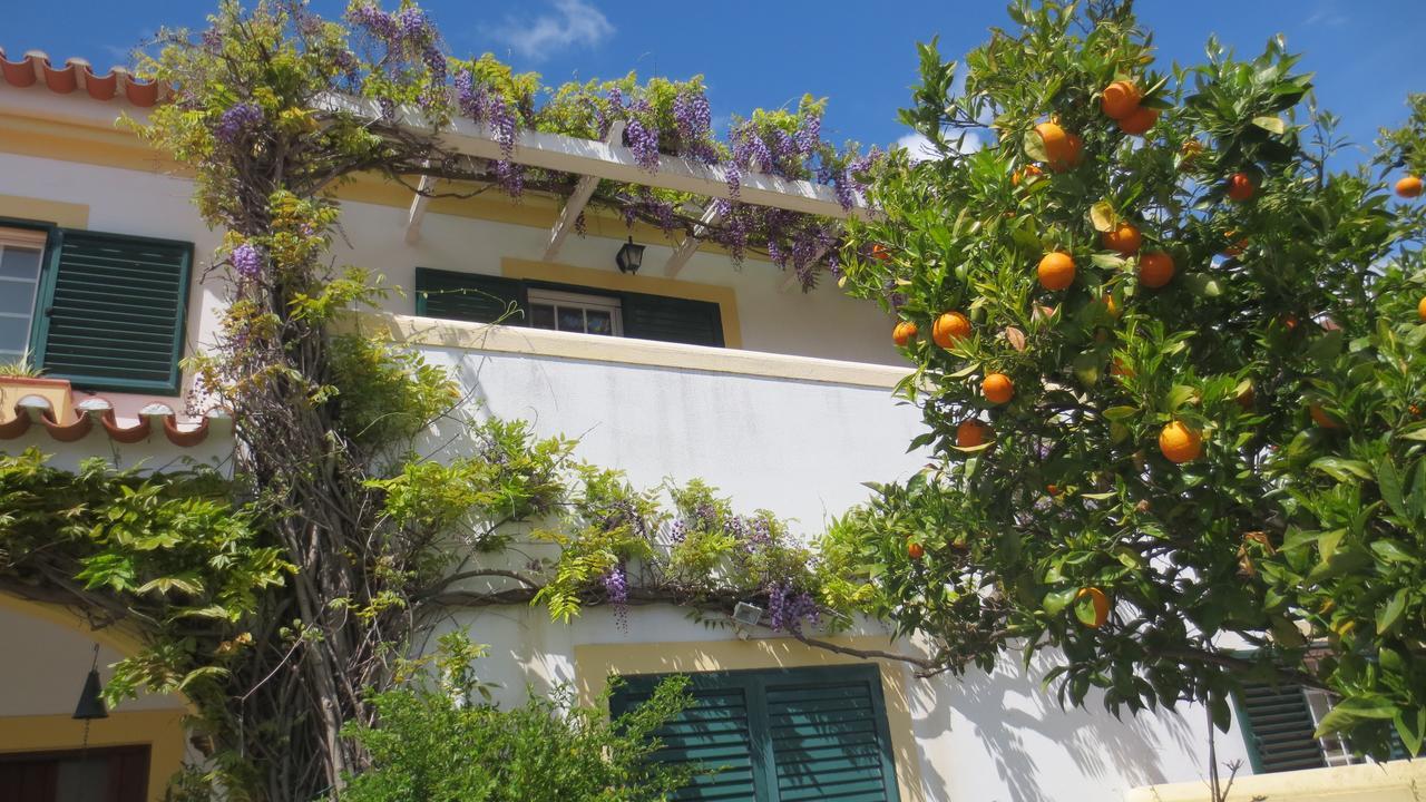 A Casa Do Lagar Apartment Azeitao Exterior photo